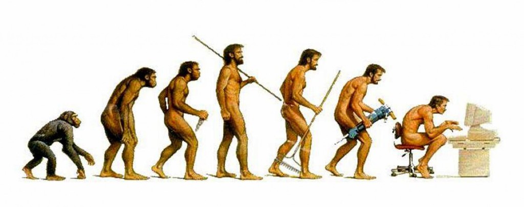 stone age evolution